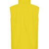 Classic Softshell Vest