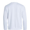 021030-00_BasicRoundneck_Back