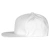 024079-00_StreetCap_White_left