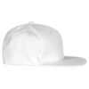 024079-00_StreetCap_White_right