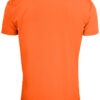 Basic Active-T