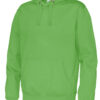 141002_645_cvc_hood_men-green