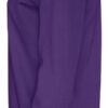 141003_885_cvc_crew_neck_unisex_L_purple