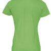 141005_645_polo_ss_lady_B_green
