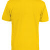 141006_255_polo_piquet_men_B_yellow