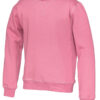 141015_425_cvc_crew_neck_kid_pink