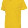 141022_255_TeeVnec_men_yellow