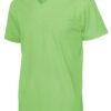 141022_645_TeeVnec_men_green