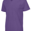 141022_885_TeeVnec_men_purple