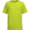 Variation picture for Lime Green