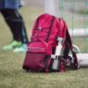 Sliver Line Backpack