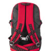 158047_440_Backpack-Silverline_back