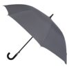 Cirrus Umbrella