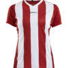 Progress Jersey Stripe W
