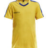 Variation picture for Sweden Yellow/Club Cobolt