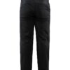 1909086-999000_Craft-Pants-Warm_Back