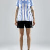 1910176-341900_Progress-2.0-Stripe-Jersey-W_Closeup4