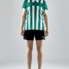 1910176-651000_Progress-2.0-Stripe-Jersey-W_Closeup4