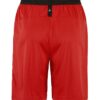 1910181-430000_Progress-2-Shorts-M_Back