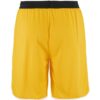 1911112-552000_Progress-Basket-Shorts-M_Back