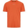 ADV Essence Ss Tee 2 M