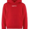 Community 2.0 Logo Hoodie Jr