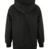 1916307-999000_Frequent-FZ-Hoodie-W_Back