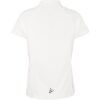 1916717-900000_Ability-Polo-W_Back