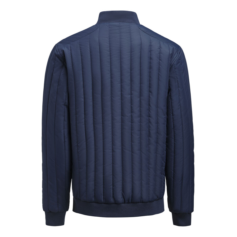 2111053-600_ScarsdalejJacket_back
