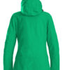 2261043-728_Flattrack_green_back