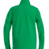 2261044-728_Trial_green_back