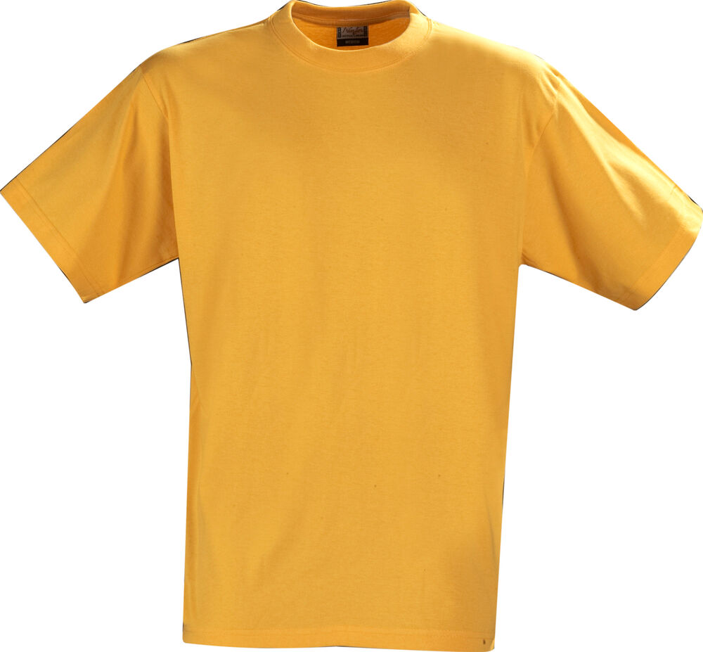 Heavy T-Shirt