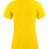2264014_208_HEAVYTSHIRTLADY_B