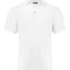 Virtue Polo Solid Men