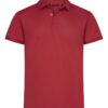 Virtue Polo Solid Men