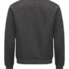 358422-955_PembertonCrewneckMen_Back