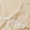 421116-03_Plaidalba_closeup