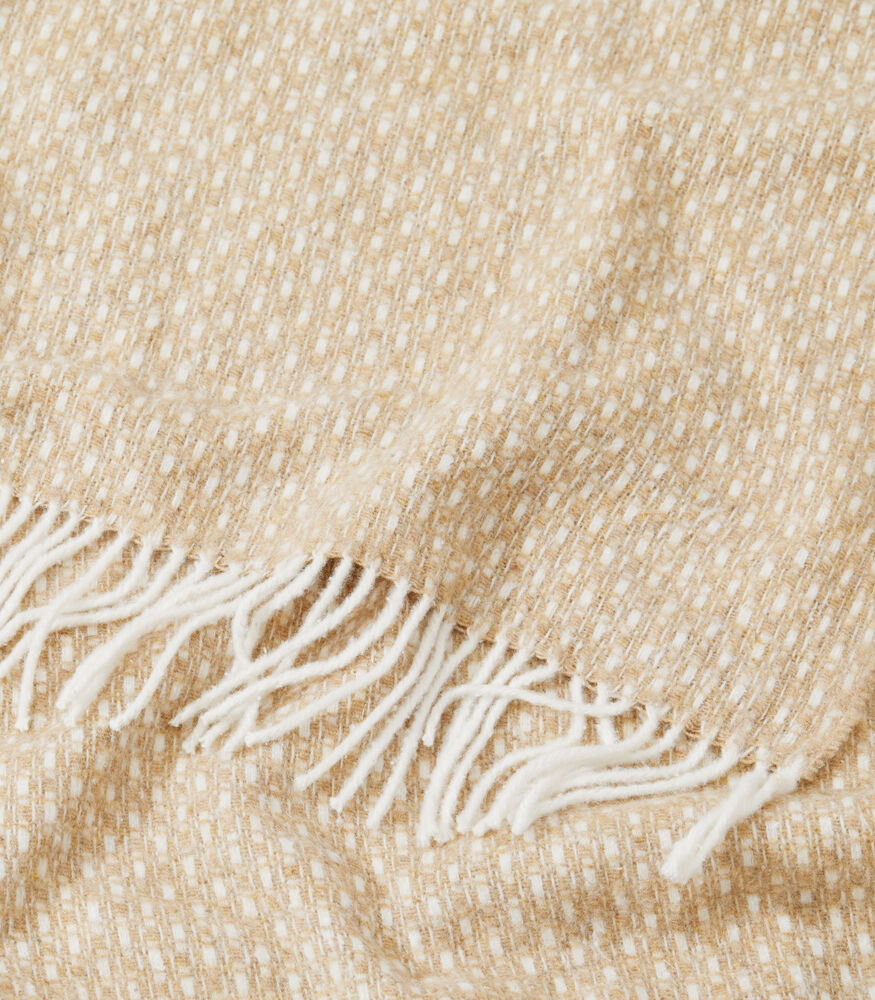 421116-03_Plaidalba_closeup