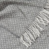 421116-95_Plaidalba_closeup