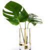 Hold Vase