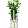 Hold Vase