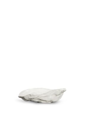 Fat Oyster