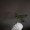 Vase Shell