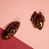 Salt & pepper Bug