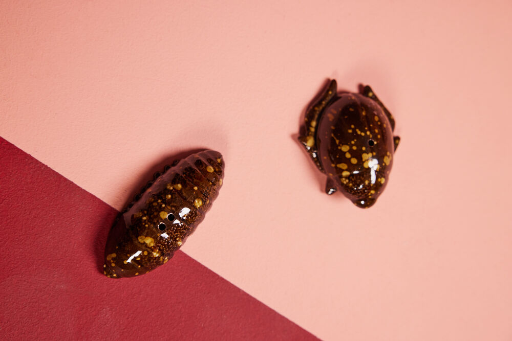 Salt & pepper Bug