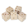 58LT57411-05_InSideOut-Kjempe-terningspill_Closeup3