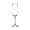 6295322_pulse_Champagne_Orrefors_Ingegered_Raman_01_1x1