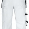 65213311_1099_back