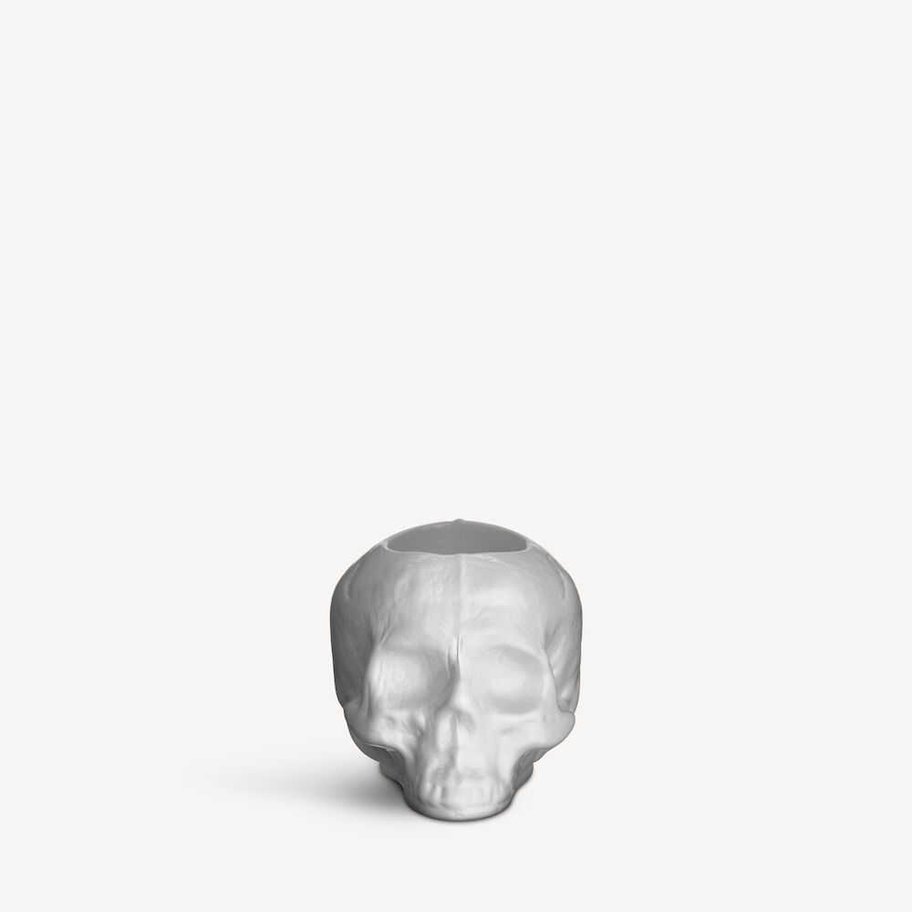 Still Life Skull Off Vit Votive D 115Mm
