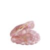 Mother of Pearl rosa